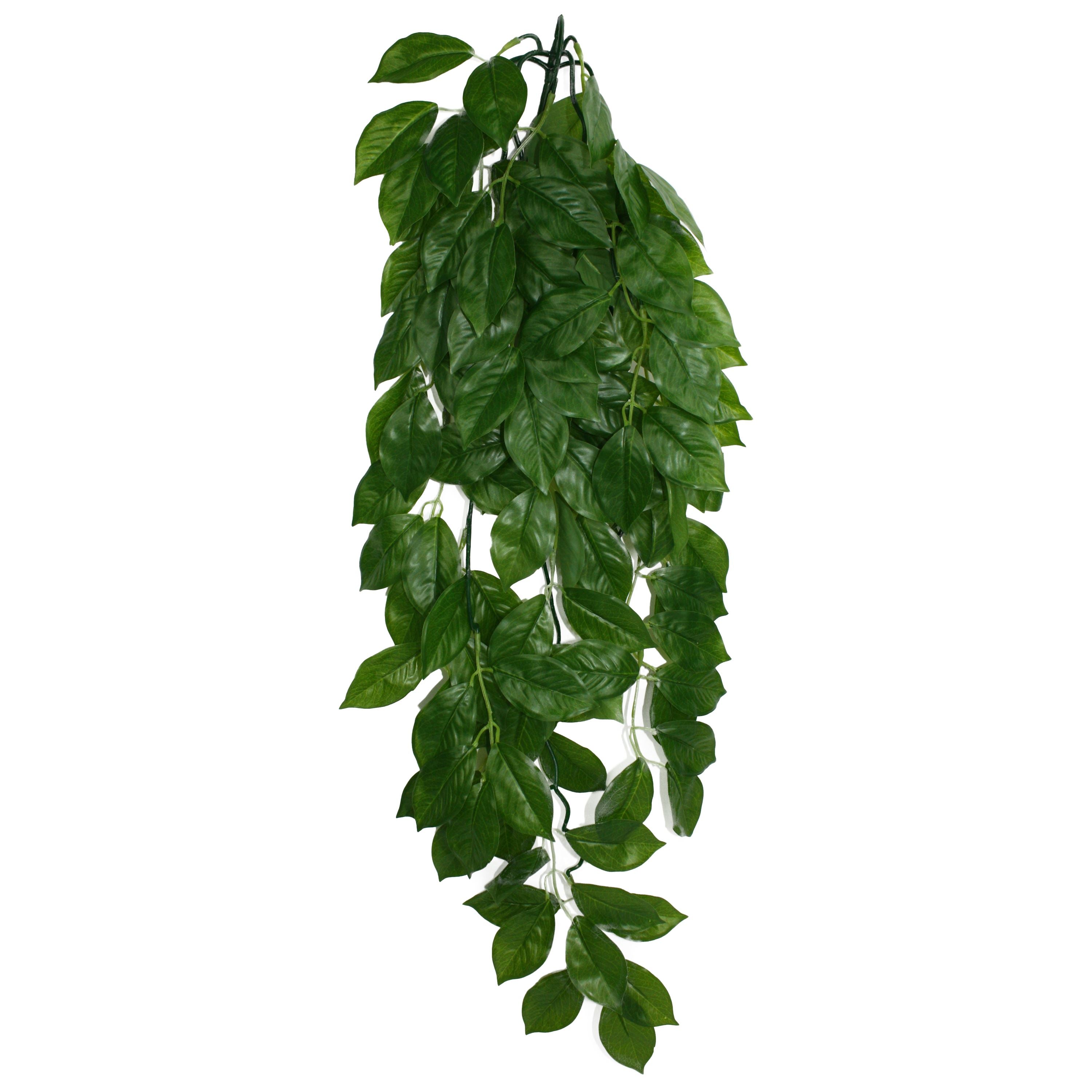 Komodo Green Leaf Hanging Plant - Large - 26 in  