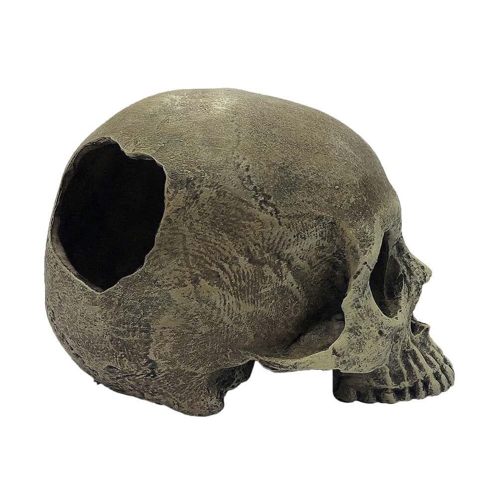 Komodo Half Human Skull Reptile Hideout - Gray - One Size  