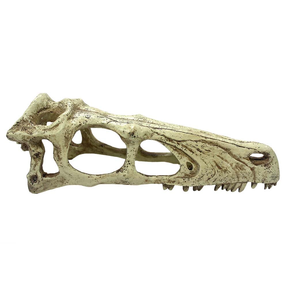 Komodo Raptor Skull Reptile Hideout - Tan - Large  