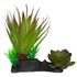 Komodo Succulent Plant - One Size  