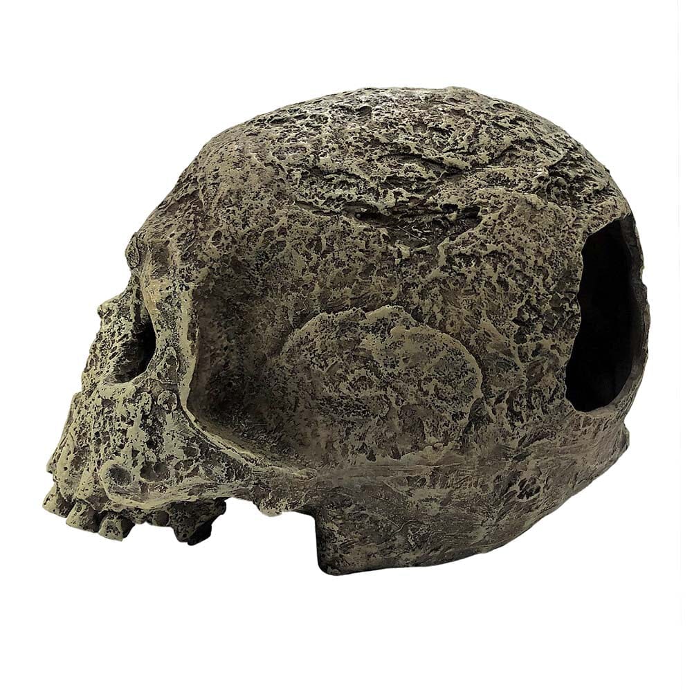 Komodo Textured Human Skull Reptile Hideout - Gray - One Size  