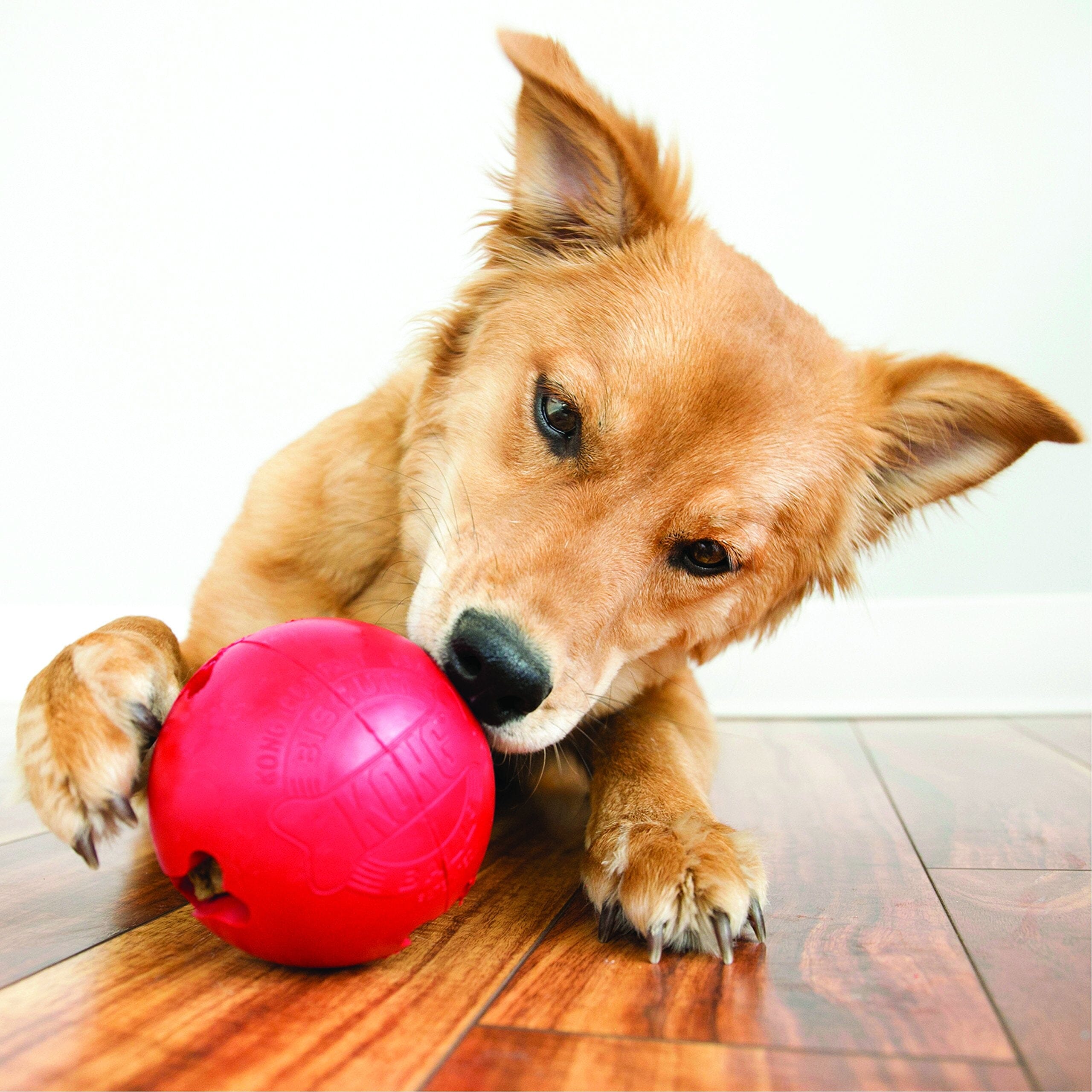 Kong Biscuit Ball Treat Dispensing Dog Toy - Small  