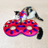 Kong Eight Track Interactive Puzzle Catnip Cat Toy with Teaser  