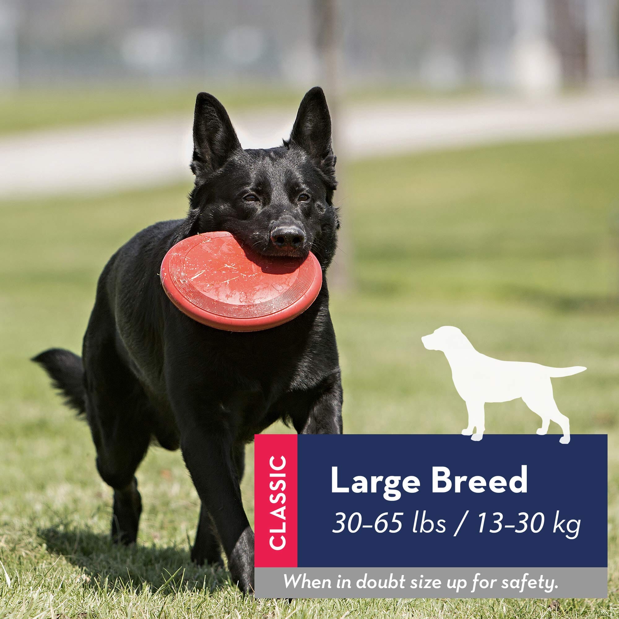 Kong Flyer Soft Flying Disc for Fetch Natural Rubber Dog Toy - Red - Large  