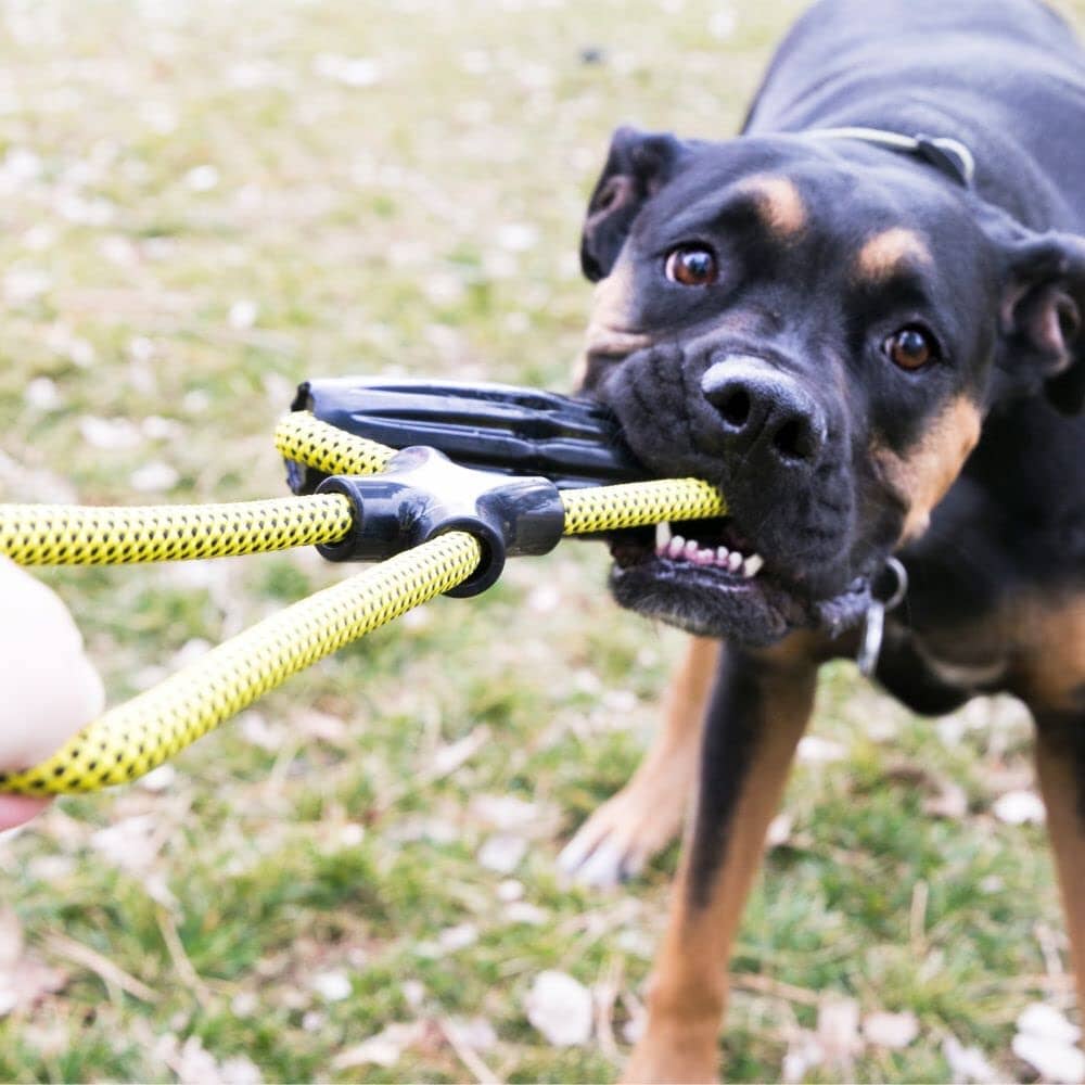 Kong Jaxx Infinity Tug of War Tug and Rope Dog Toy - Large  