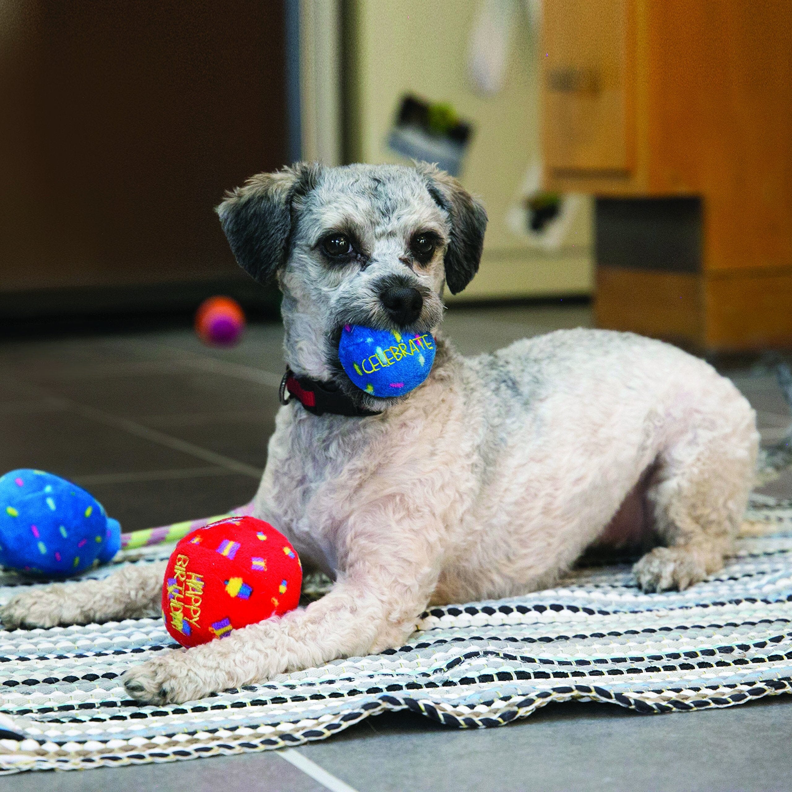 Kong Occassions Birthday Balls Dog Toy - Red - Medium  