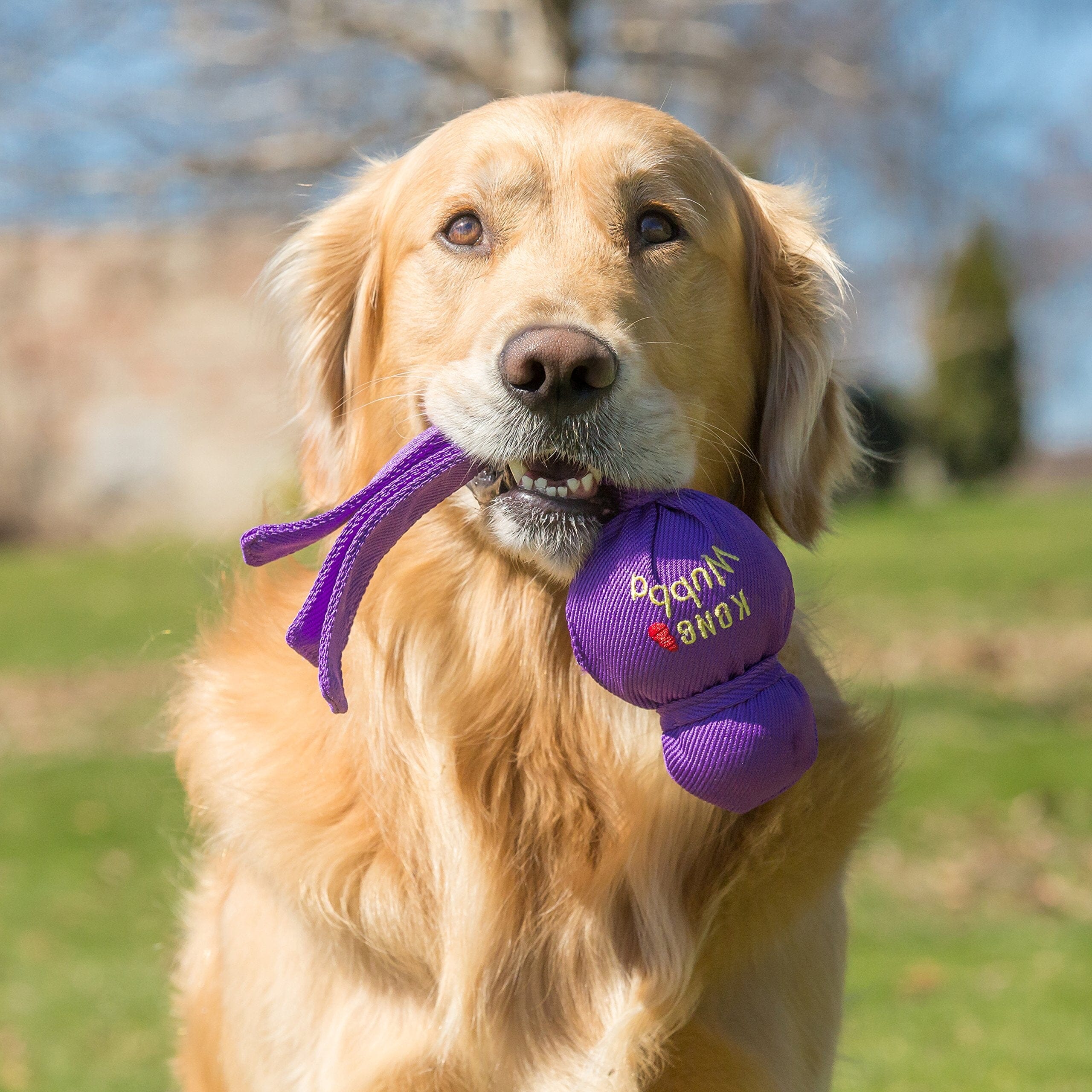 Kong Original Wubba Tug and Fetch Squeaking Nylon Dog Toy - Assorted - Extra Large  