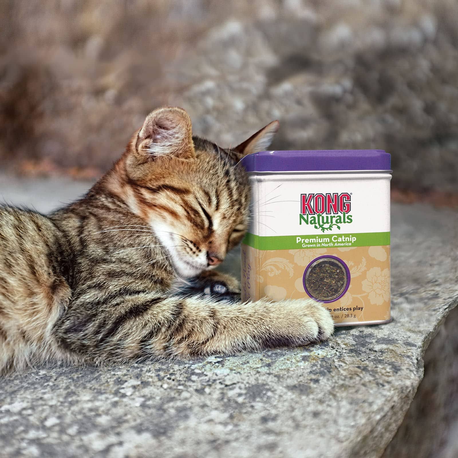 Kong Premium Naturals American Grown Catnip - 1 Oz  