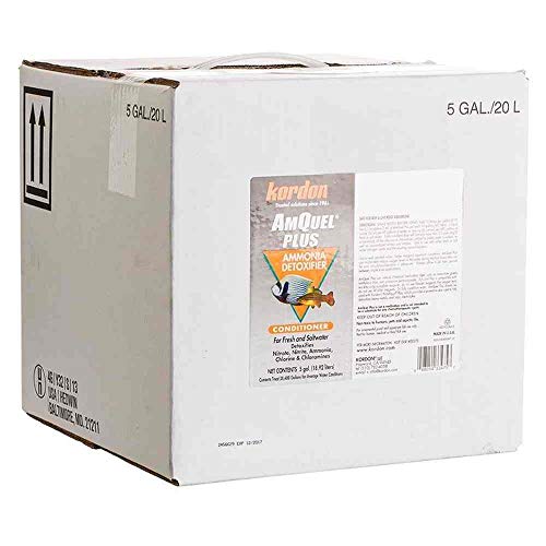 Kordon Amquel Plus - 5 gal