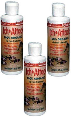 Kordon Ich Attack - 4 fl oz  