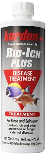 Kordon Rid-Ich Plus - 16 fl oz  