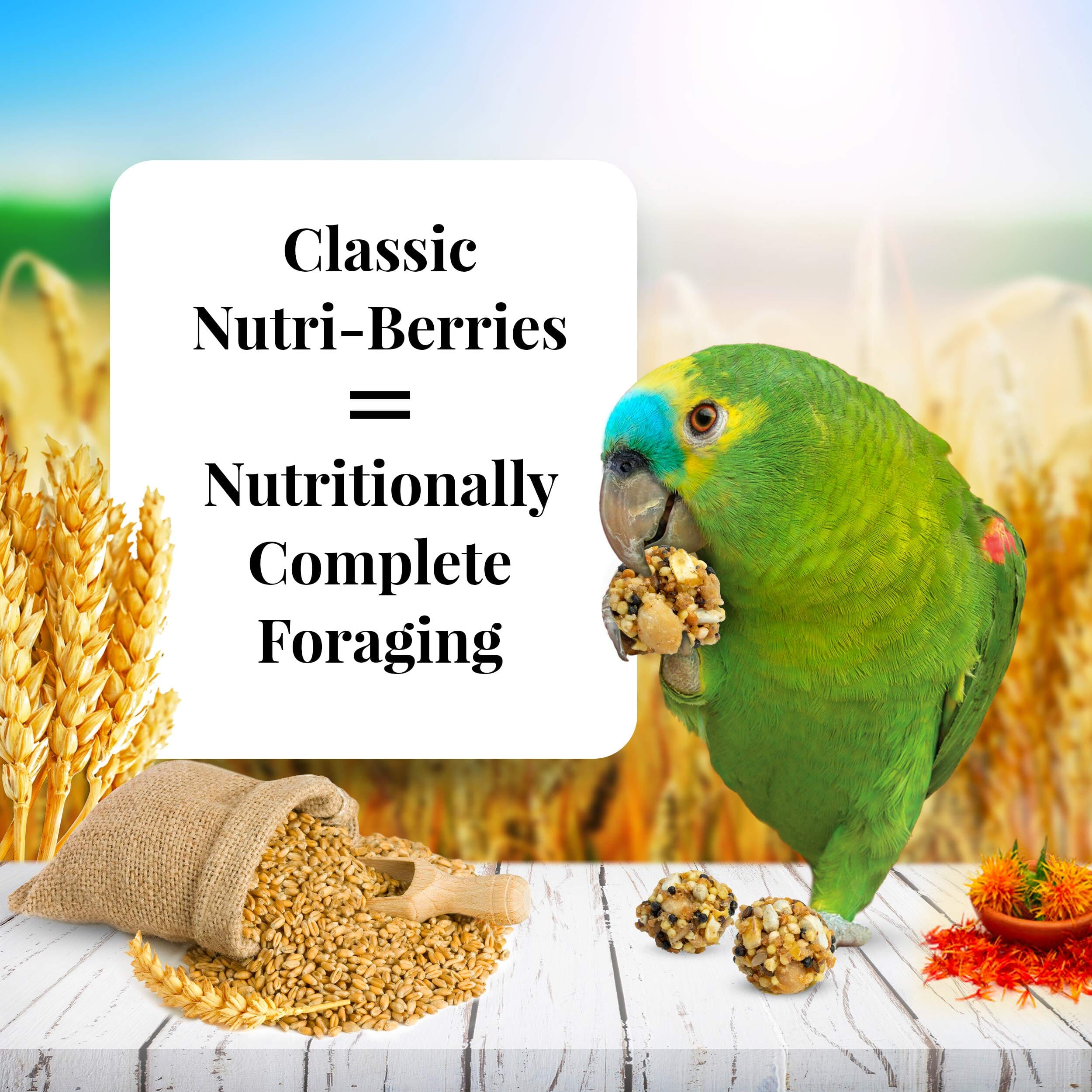 Lafeber® Classic Nutri-Berries Parrot Food - 10 Oz  