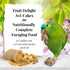 Lafeber's® Fruit Delight Party Avi-Cakes for Parrots - 8 Lbs  