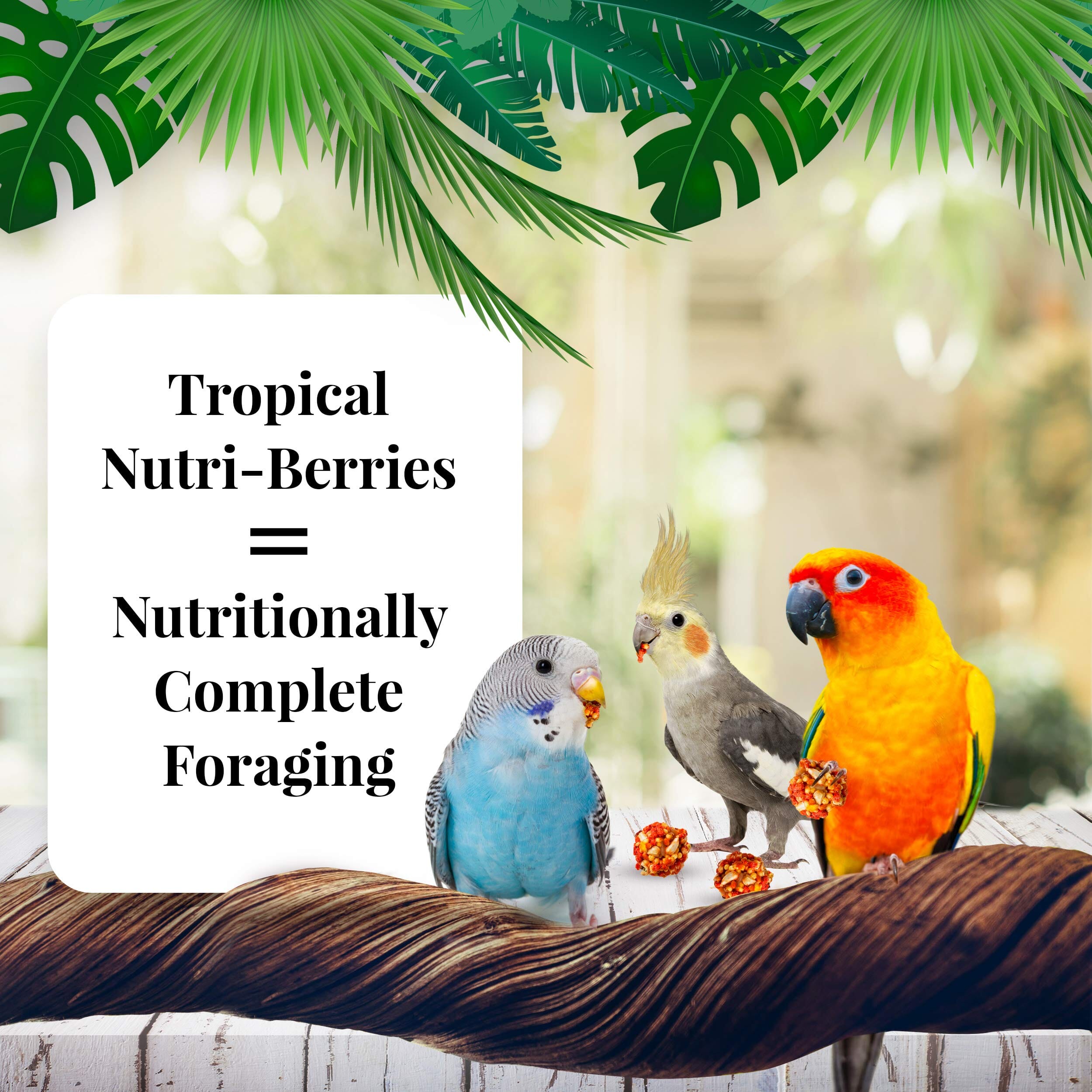 Lafeber's® Tropical Fruit Nutri-Berries for Parakeet, Cockatiels & Lovebirds - 10 Oz  