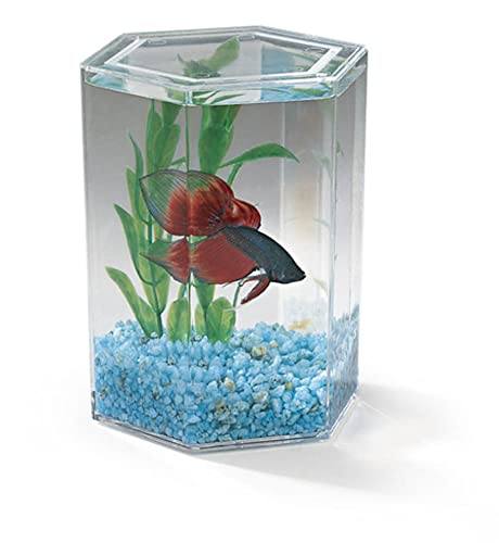 Lee's Hexagon Betta Keeper - Small  