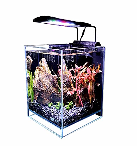 Lifegard Aquatics Betta Low Iron Ultra Clear Aquarium - 1.2 gal - 5.9" x 5.9"  