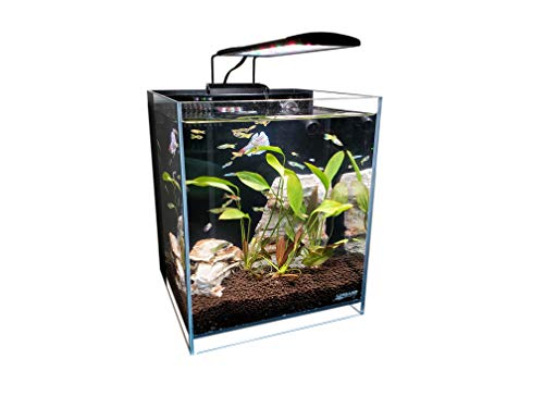 Lifegard Aquatics Low Iron Ultra Clear Aquarium - 5 gal - 9.84" x 9.84"  