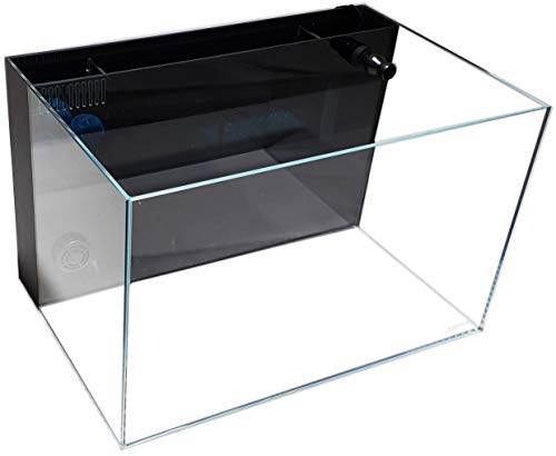 Lifegard Aquatics Low Iron Ultra Clear Aquarium with Built-In Back Filter - 4.14 gal  