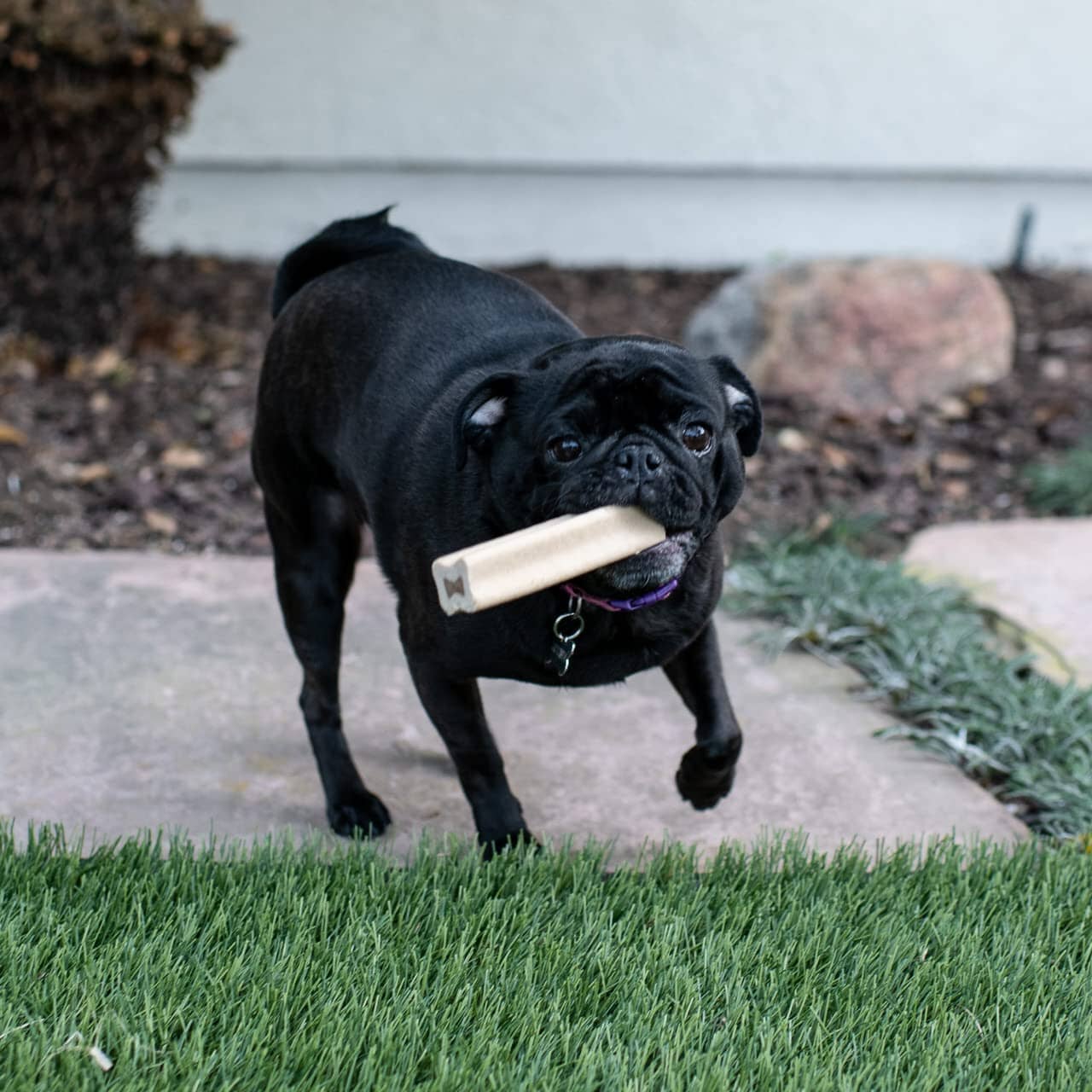 Loving Pets Yummy Bone Flavor Filled Bone Singles Natural Dog Chews - Peanut Butter - 2.8 Oz - 15 Pack  