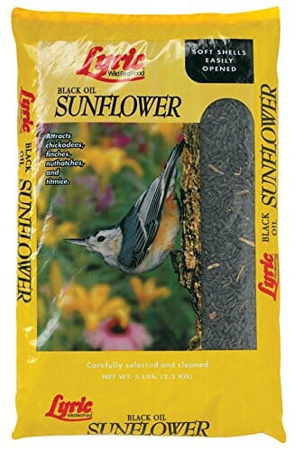 Lyric Black Oil Sunflower Sunflower Oil Wild Bird Food - 10 Lbs - 4 Pack  