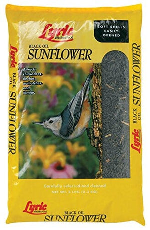 Lyric Black Oil Sunflower Sunflower Oil Wild Bird Food - 10 Lbs - 4 Pack