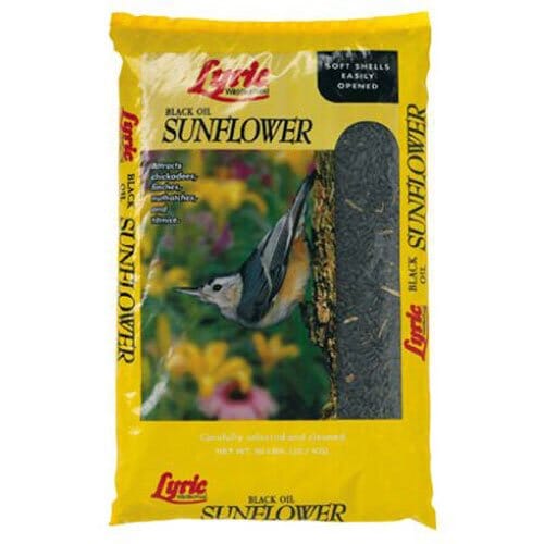 Lyric Black Oil Sunflower Sunflower Oil Wild Bird Food - 5 Lbs - 8 Pack  