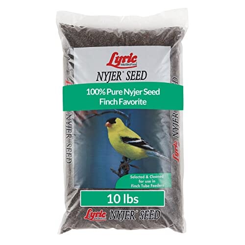 Lyric Nyjer Seed Wild Bird Food - 10 Lbs - 4 Pack  