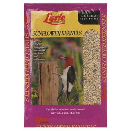 Lyric Sunflower Kernels Wild Bird Food - 5 Lbs - 8 Pack