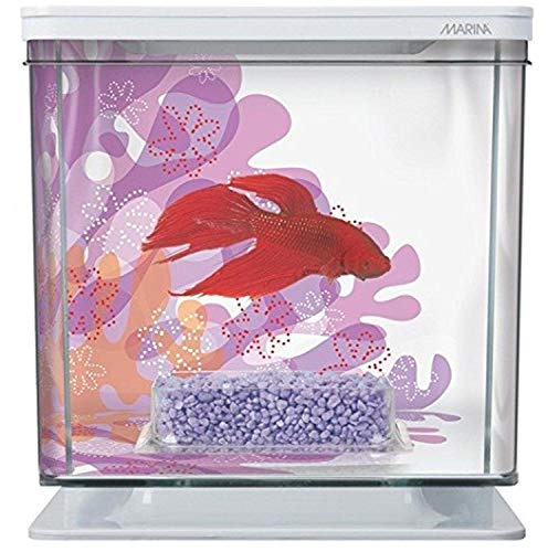 Marina Betta Kit - Flower Theme - 2 L  