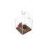 Marina Cubus Glass Betta Kit - 3.4 L  