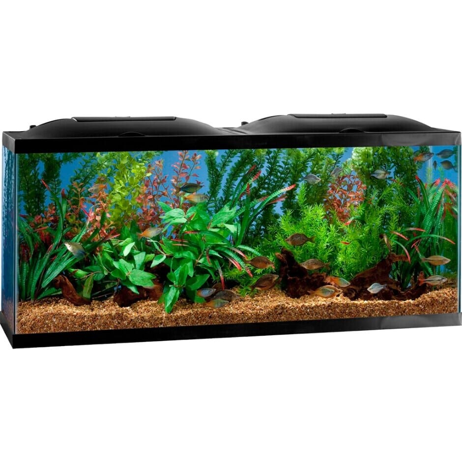 Marineland Bio-Wheel LED Aquarium Kit Aquatics Starter Kits - 55 Gal - 48 X 13 X 20  