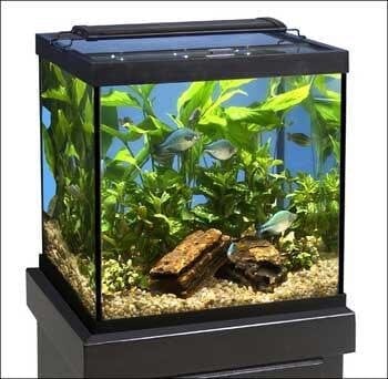 Marineland Framed Column Aquarium Fish Tank - 27 Gal - 20 X 18 X 20  