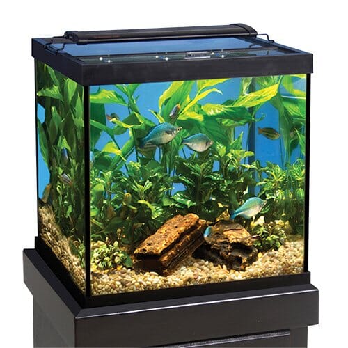 Marineland Hinged Aquarium Glass Canopy - 72 X 24 In  