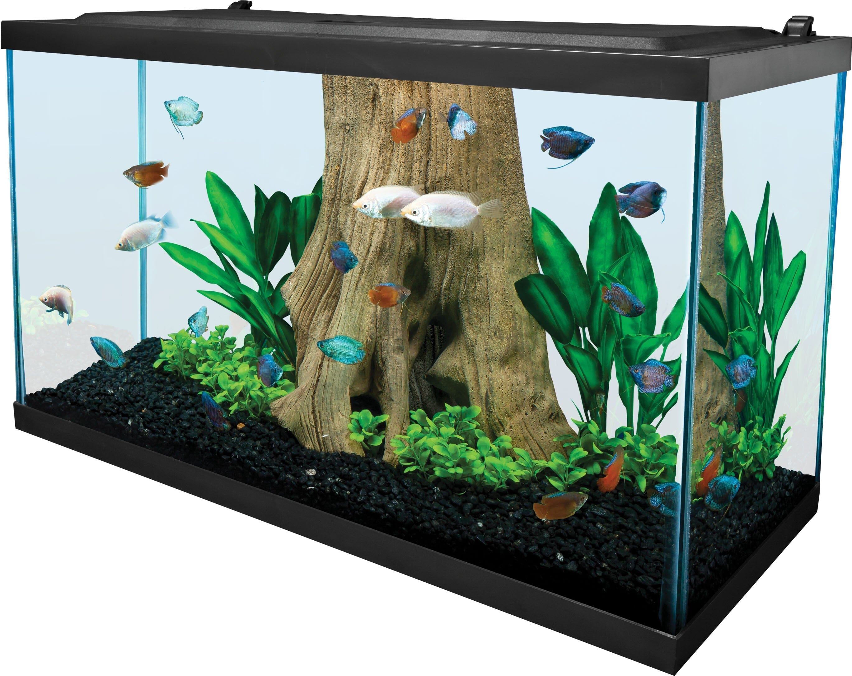 Marineland Standard Rectangular Aquarium Fish Tank - 29 Gal - 30 X 12 X 18  