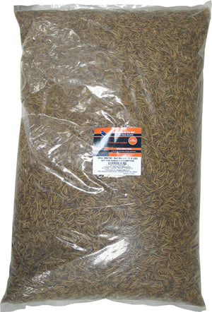 Mealworm To Go Dried Mealworms Value Wild Bird Food - 11.02 Lbs