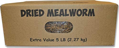 Mealworm To Go Dried Mealworms Value Wild Bird Food - 5 Lbs  