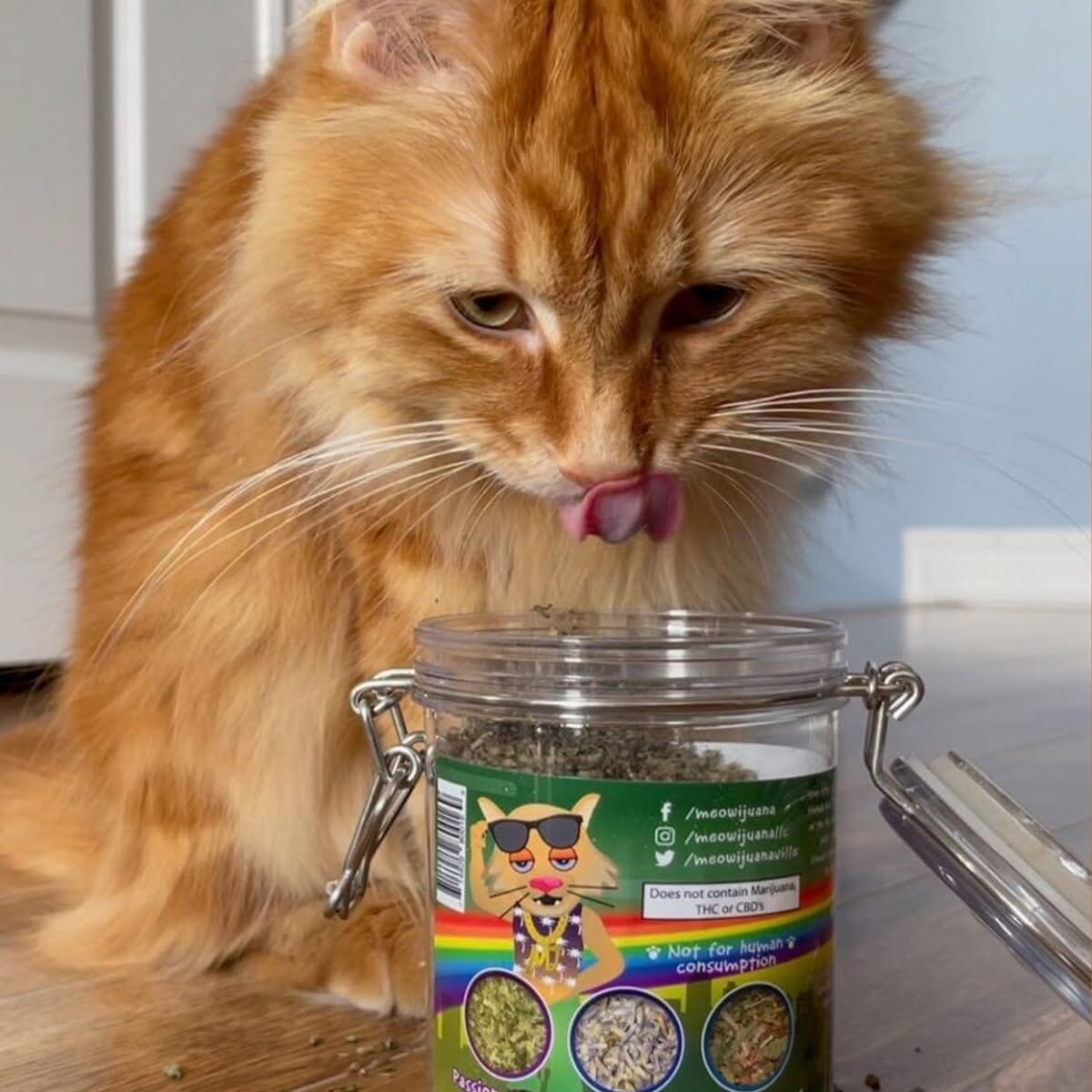 Meowijuana Jar of Pawty Mix Organic Premium Catnip - 60g  