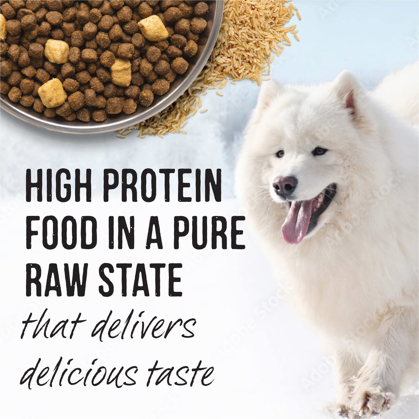 Great plains clearance dog food