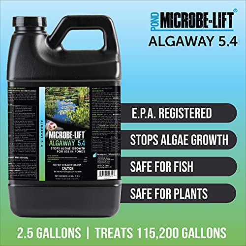 Microbe-Lift AlgAway 5.4 - 1 gal  