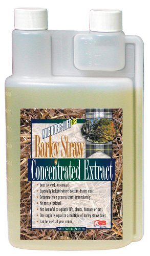 Microbe-Lift Concentrated Barley Straw Extract - 32 oz