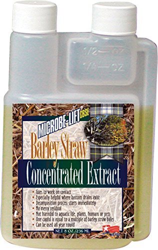 Microbe-Lift Concentrated Barley Straw Extract - 8 oz