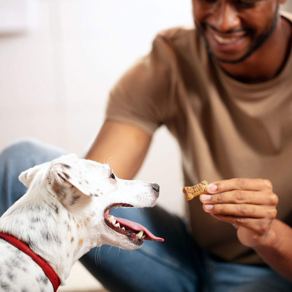 Milk-Bone Flavor Snacks Mini  