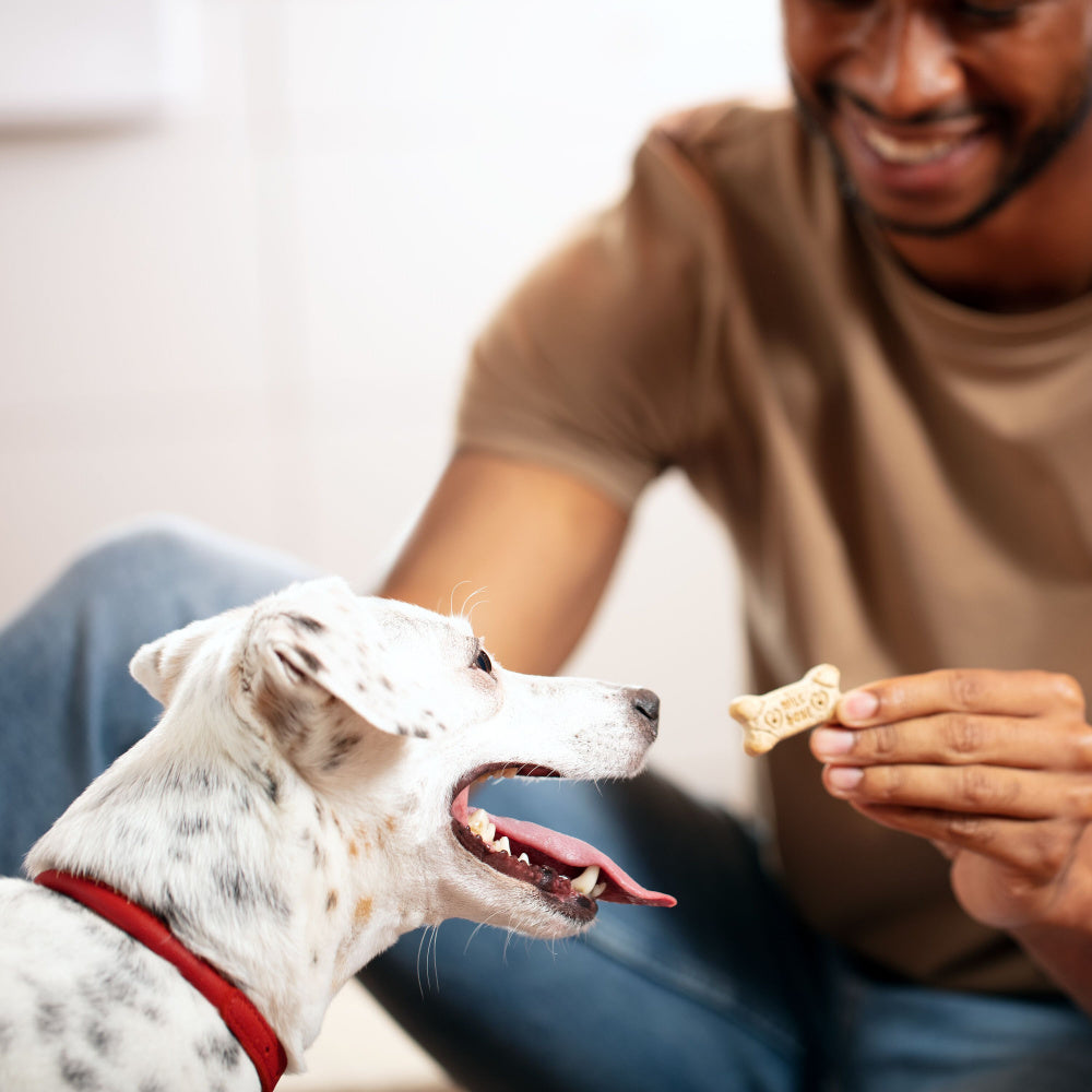 Milk-Bone Original Medium Dog Biscuits  