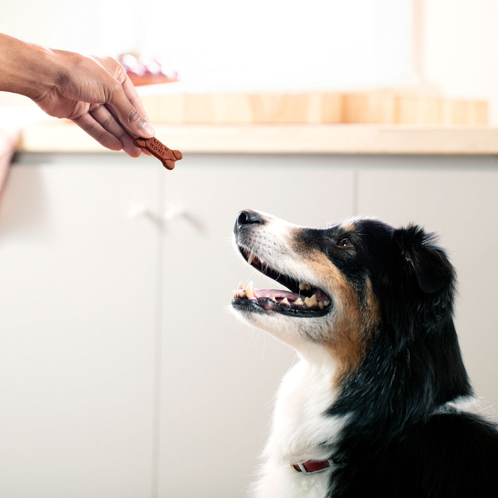 Milk-Bone Soft and Chewy Treats-Beef Filet Mignon  