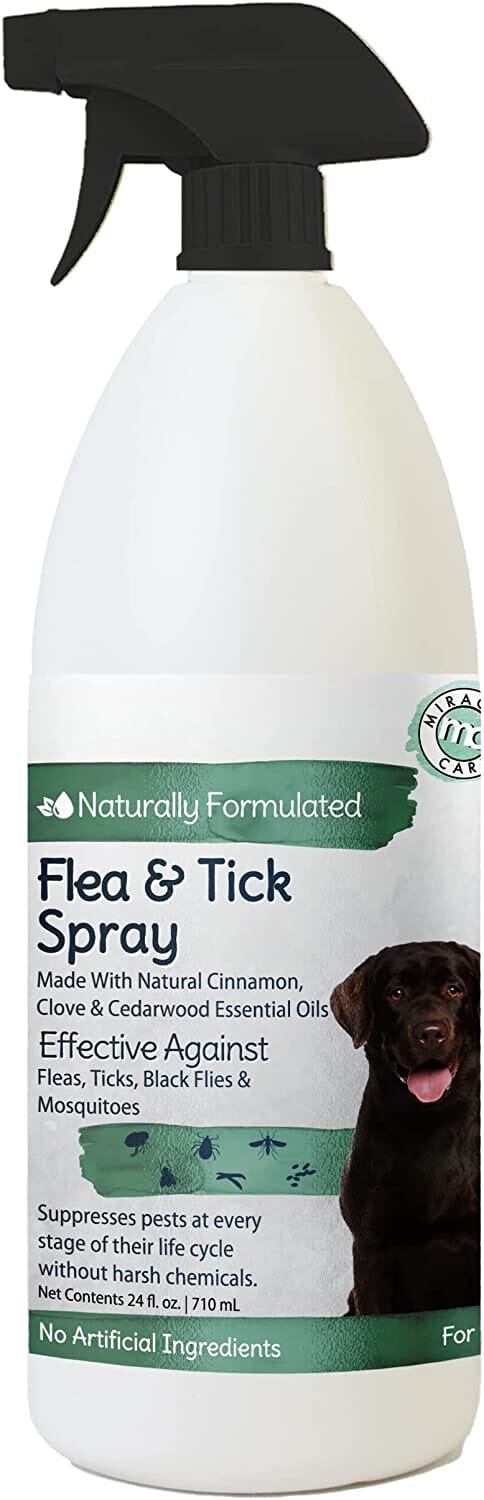 Miracle Care Flea & Tick Spray Dog Spray - 24 Oz  