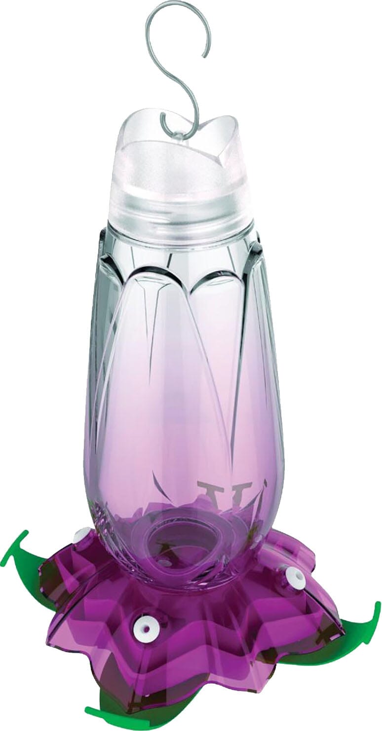 More Birds Floral Hummingbird Feeder - Purple - 18 Oz  