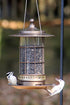 More Birds Lantern Plastic Songbird Wild Bird Feeder - Silver - 2.5 Lbs Cap  