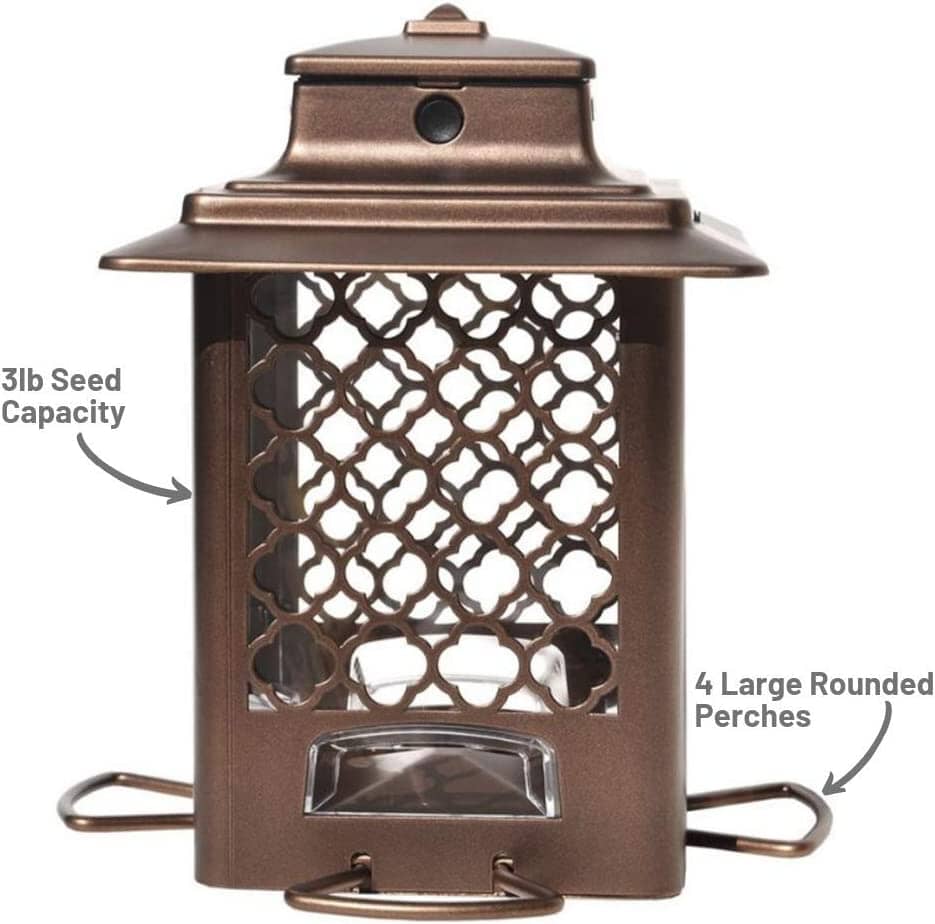 More Birds Metal Hopper Sunflower Wild Bird Feeder - Bronze - 3.6 Lbs Cap  