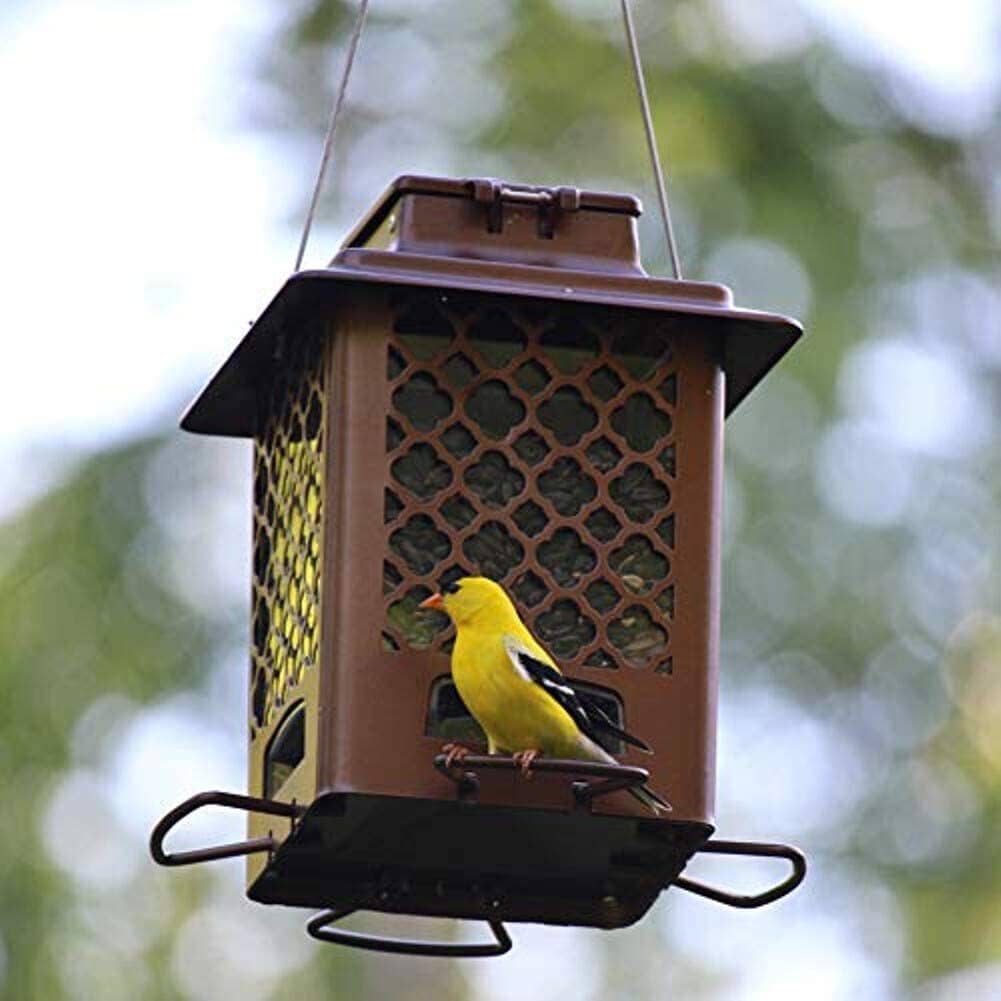 More Birds Metal Hopper Sunflower Wild Bird Feeder - Bronze - 3.6 Lbs Cap  