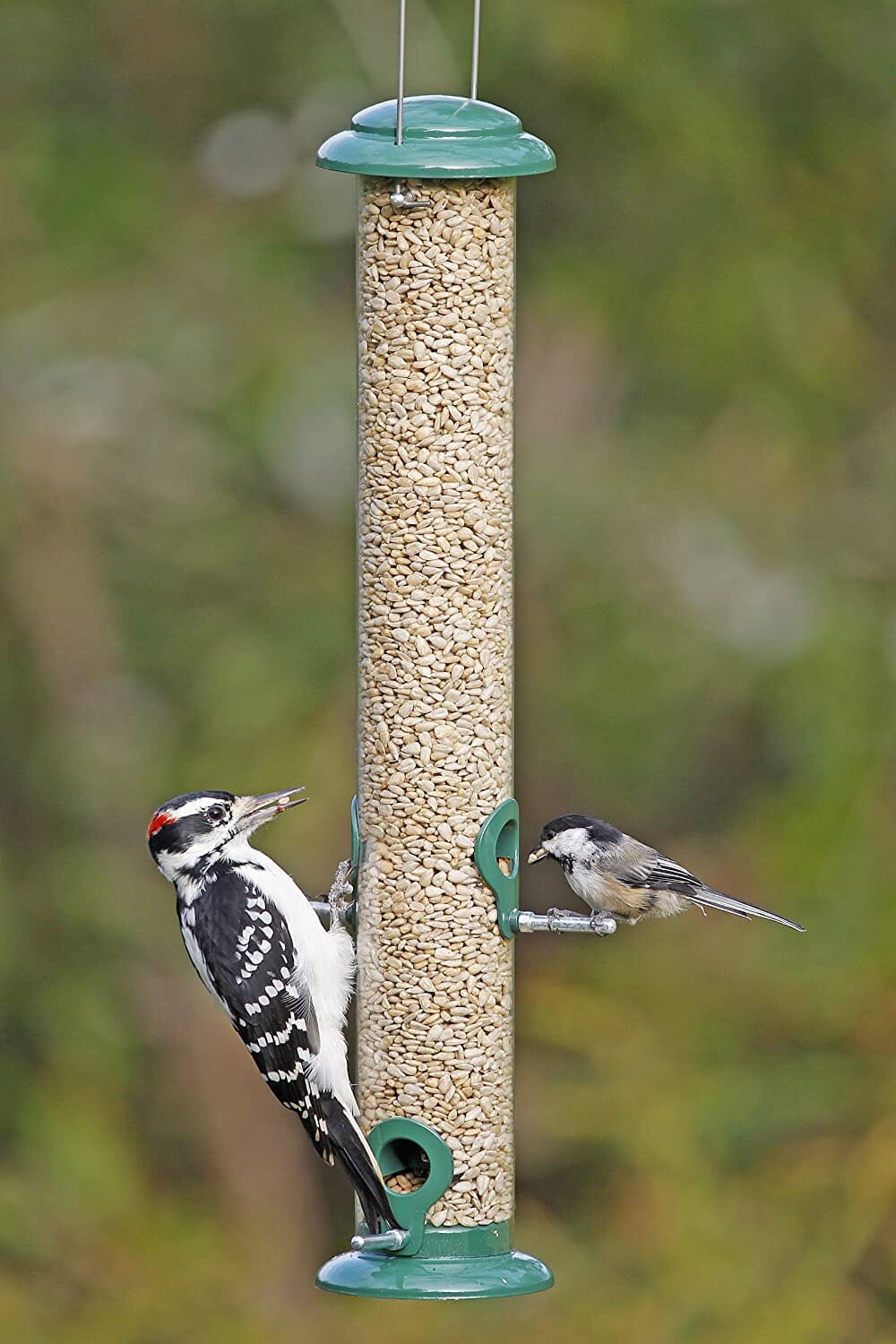 More Birds Metal Tube Seed Tubed Wild Bird Feeder - Green - 1.5 Lbs Cap  